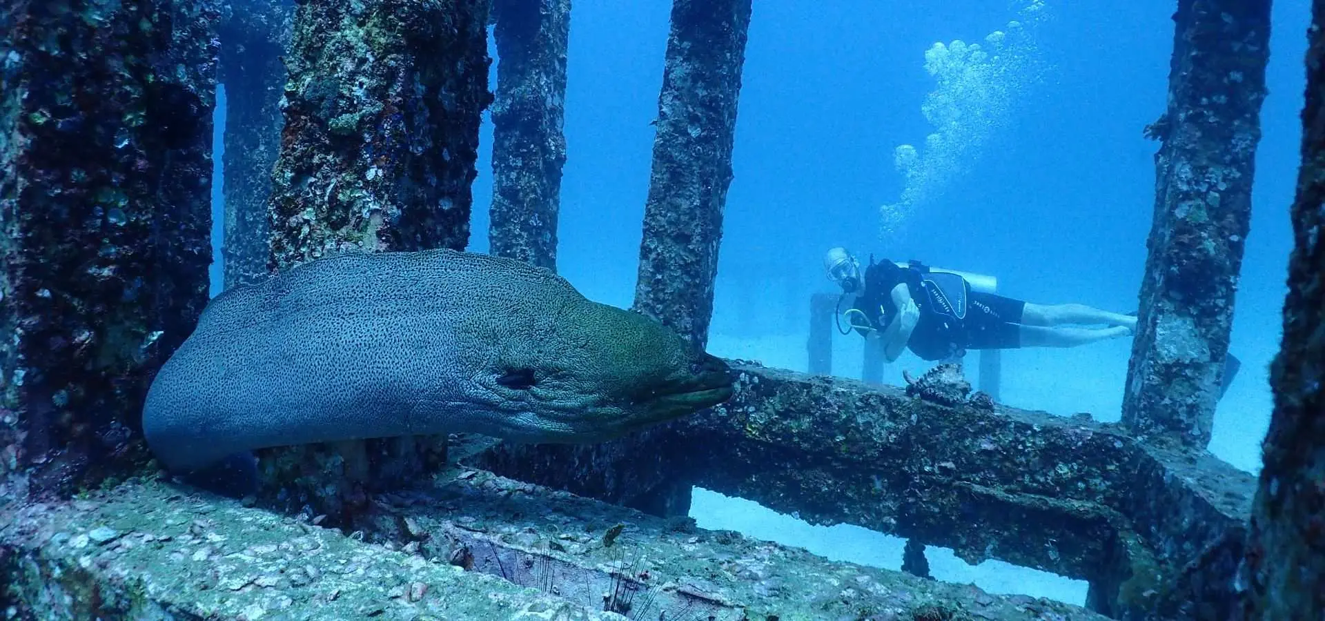 PADI Advanced Open Water Diver Course (2 Days) | Phuket