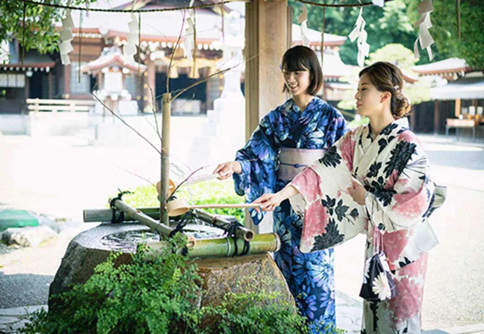 水前寺成趣園內有許多拍照景點。該計劃包含門票。參觀位於公園內的泉神社。請悠閒地散步♪