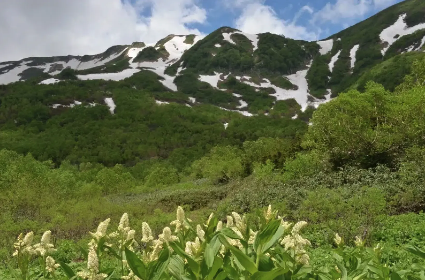 Take the ropeway and enjoy Tsugaike Nature Park at an altitude of 1900m