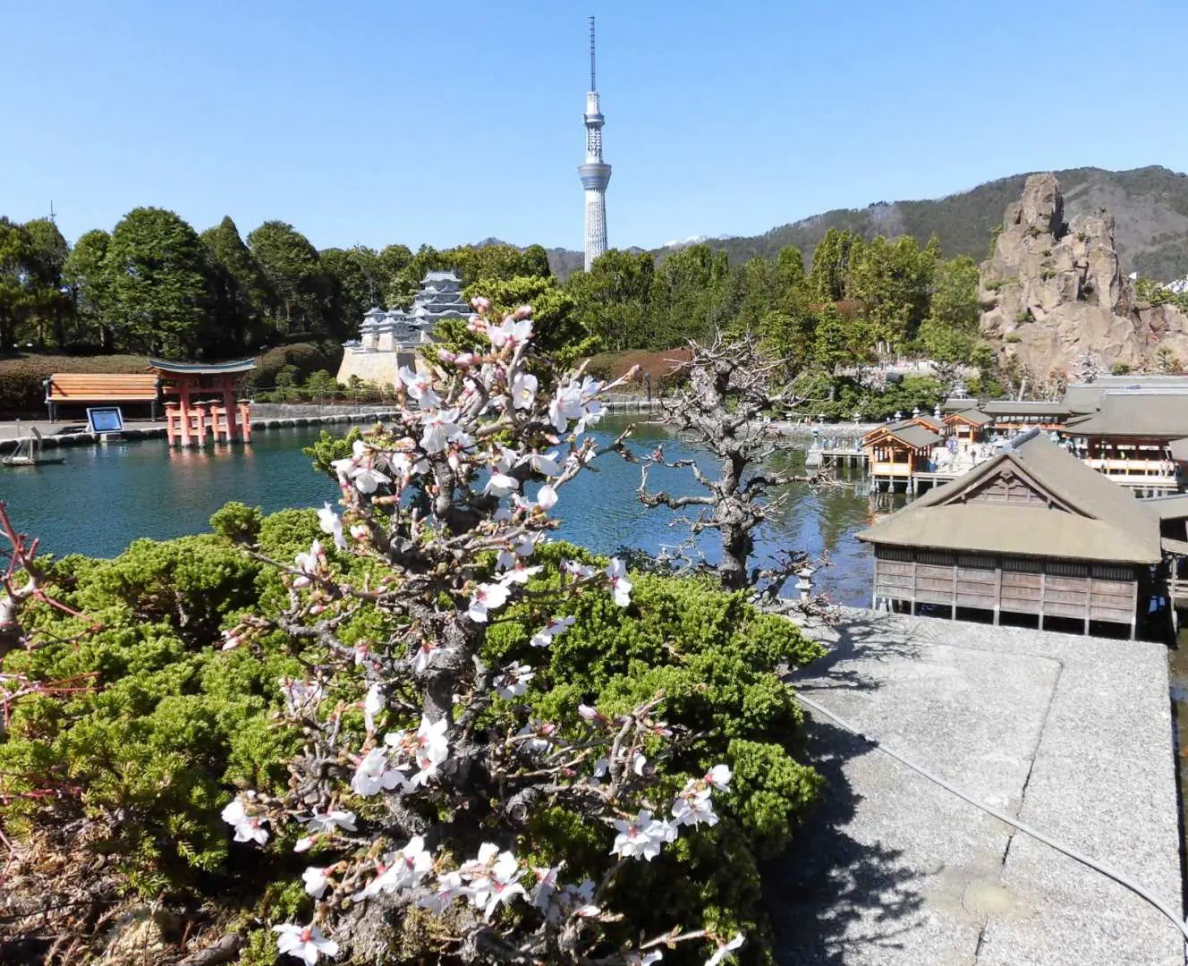 東武ワールドスクウェアの日本ゾーン。水中に立つミニチュアの厳島神社の大鳥居と咲き誇る桜、遠くには東京スカイツリーが見えます。