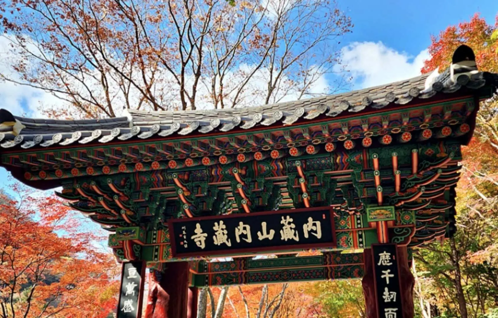 內藏山國家公園內壯麗的寺廟入口牌樓，色彩斑斕的丹青圖案與金黃紅楓葉相互輝映，展現韓國傳統建築與秋日自然的完美結合。