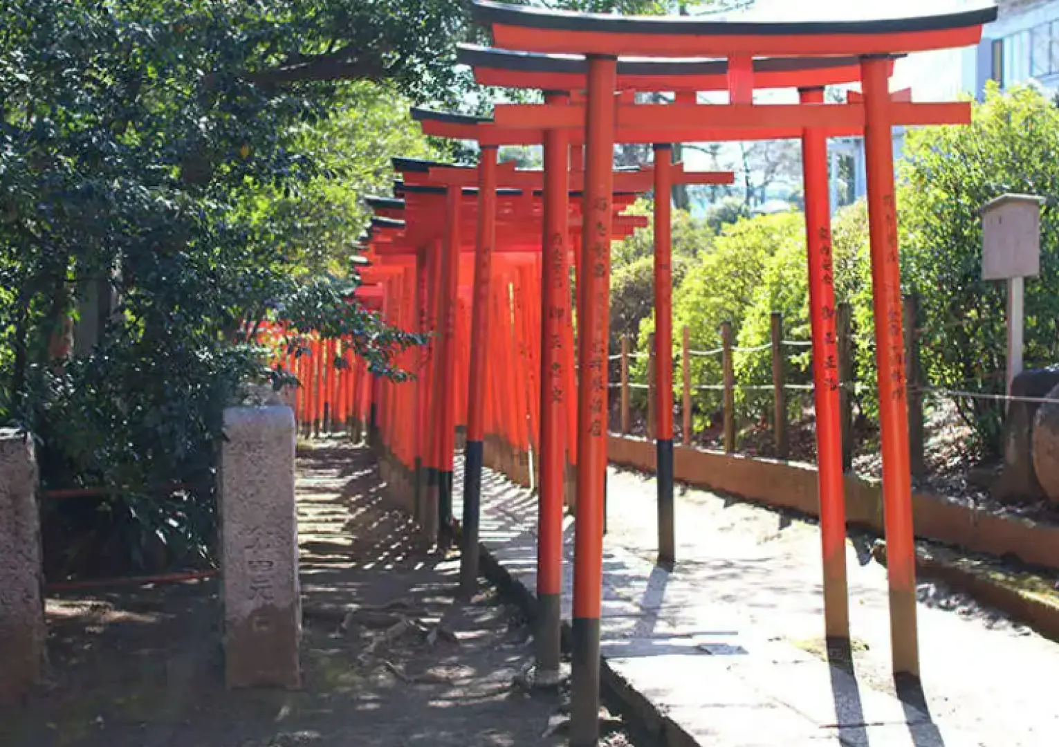 根津神社的鳥居很漂亮。
也是著名的拍照勝地