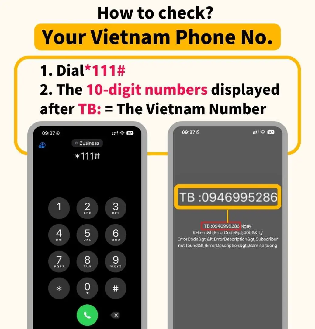 Traditional Chinese phone screenshot illustrating how to check Vietnam eSIM data balance by sending a specific text message to 900, instantly showing remaining high-speed data to help manage internet costs in Vietnam.