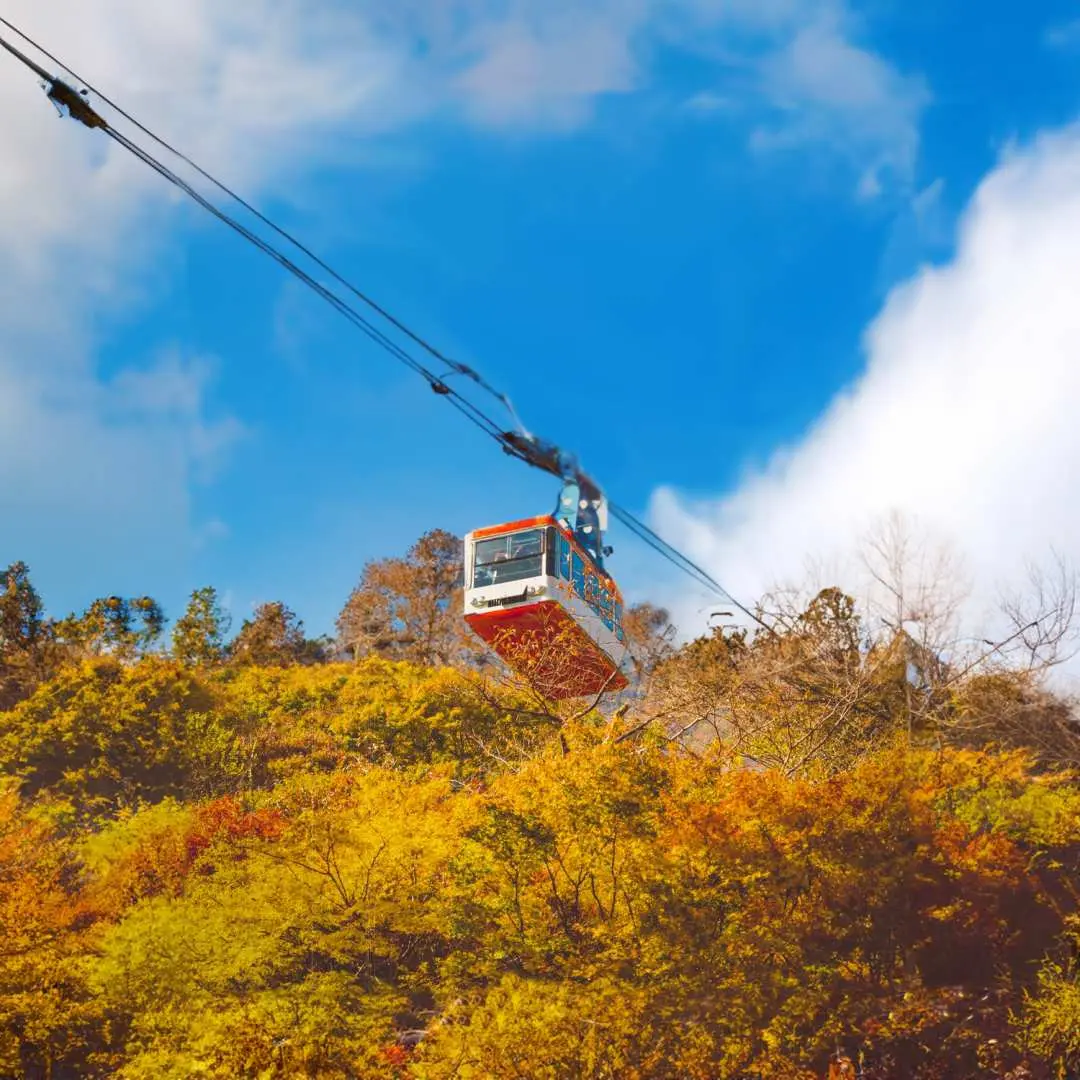 一輛風景纜車在內藏山充滿活力的秋季山丘上緩緩上升，可俯瞰色彩斑斕的秋葉和周圍的壯麗景色。