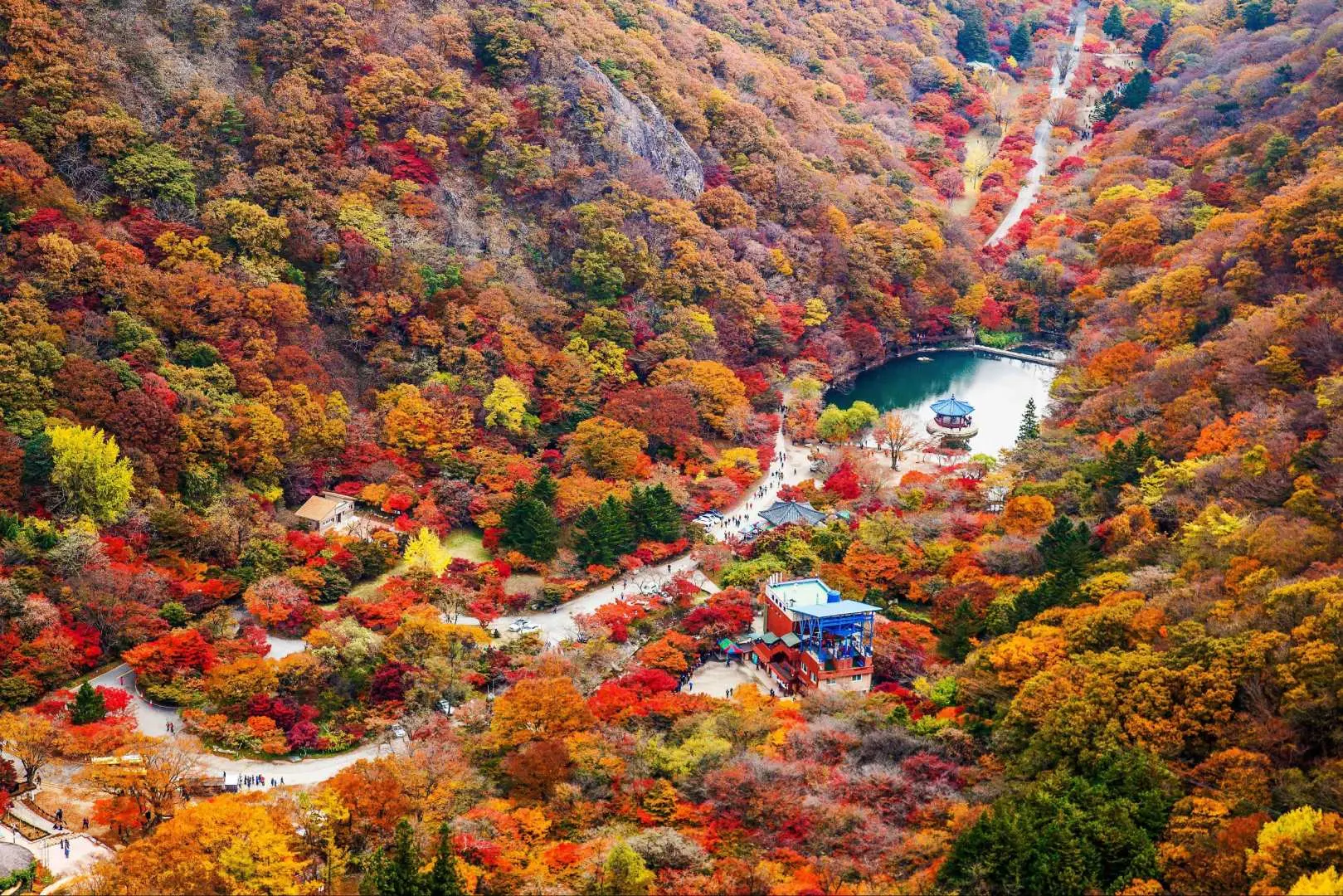 內藏山國家公園秋季巔峰時期的廣闊鳥瞰圖，呈現紅、橙、金色交織而成的壯麗景象，環繞著寧靜的湖泊和傳統建築。