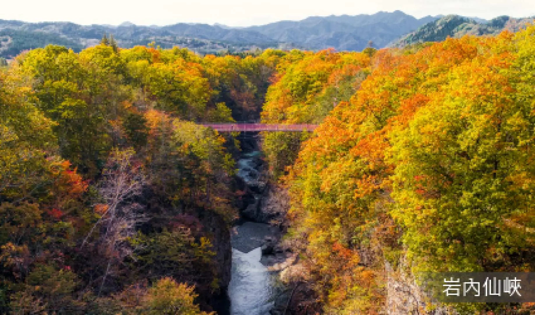 岩內仙峽(紅葉約10月上旬-10月下旬)｜位於帶廣市岩內町的岩內仙峡是屬於日高山麓的溪谷，隨著岩內川的水流路徑的地形變化，形成湍急或緩和的流水風景。在岩內川上有幾座橋，其中最有名的是仙峽橋。站在這橋上看兩旁的水流與炫目的楓紅，仿佛身在畫中。這裡是秋天賞楓的名景點，春天也有櫻花開放，也設有露營區與簡易木屋可供租用。秋天在溪谷中落入片片紅葉，站在仙峽橋上俯瞰溪谷，彷彿時間也已停了下來，一切都是那麼寧靜平和。