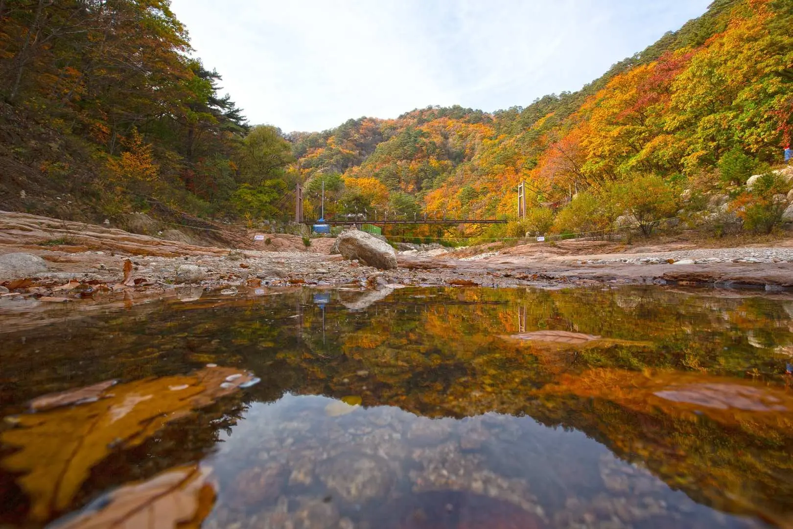 Mt. Seorak and The Tallest Ginko Tree at Yongmunsa | South Korea