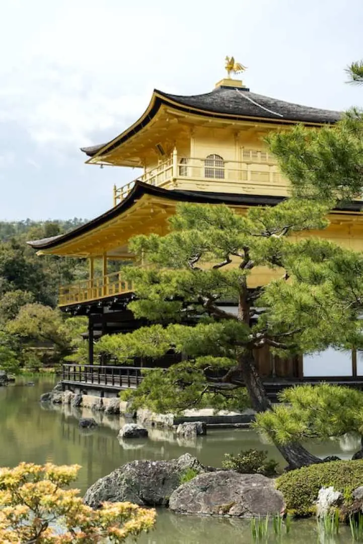 金阁寺：
正式名为【鹿苑寺】，因建筑物外面包有金箔，故又名【金阁寺】。是一座位于京都、最早完成于 1397年（座永四年）的日本古刹，除了是知名的观光旅游景点之外，也是被日本政府指定为国宝，并于1994年被联合国教科文组织指定为世界文化遗产。