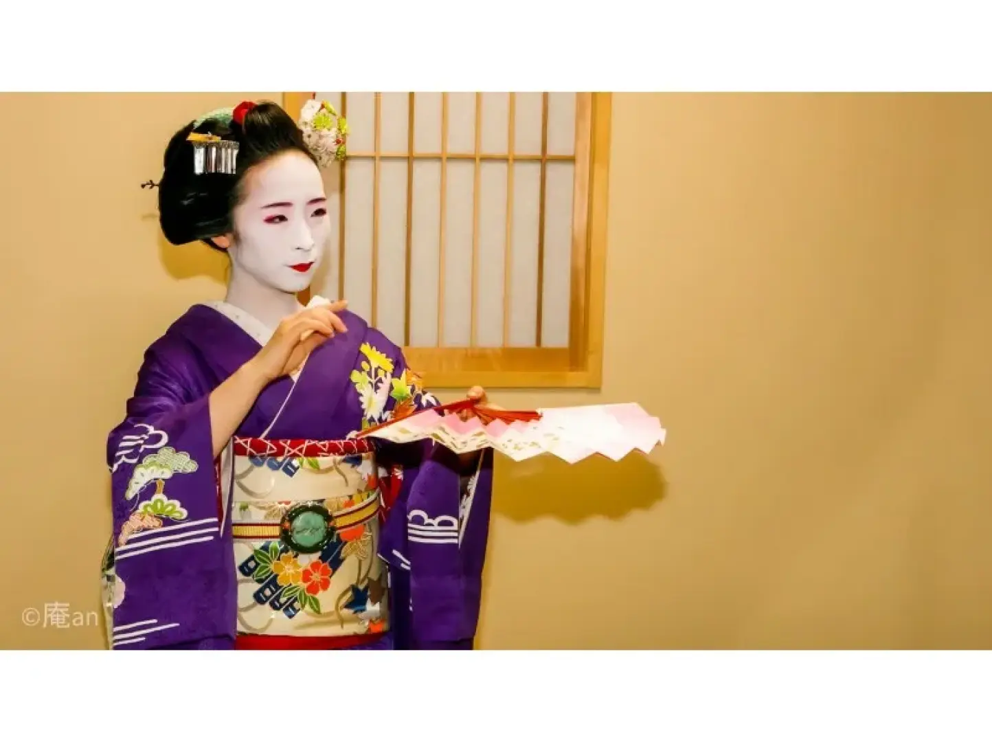 京都舞妓穿紫色和服，手持摺扇展現優雅舞蹈姿態，近距離觀賞舞妓表演與茶道文化體驗。