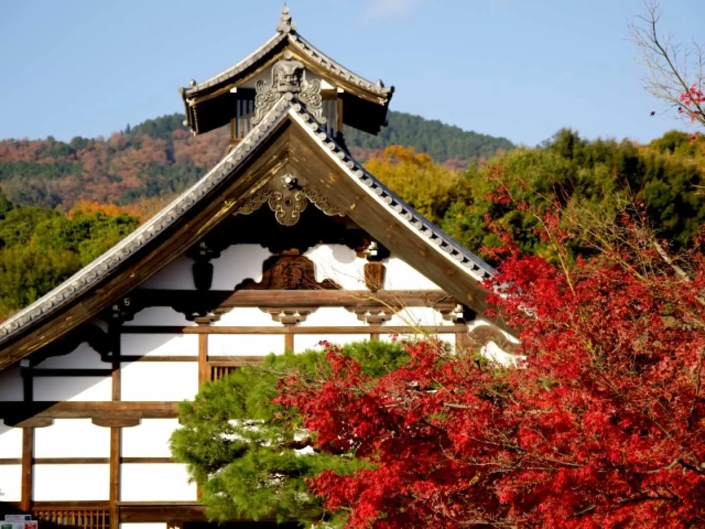 京都嵐山賞紅葉~渡月橋~竹林小徑~天龍寺外苑~午餐享用京風料理(停留約150分鐘)