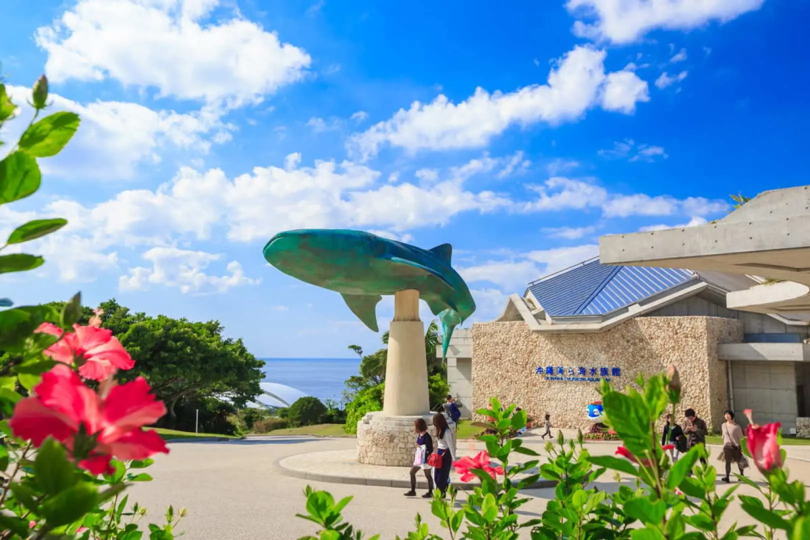Okinawa Chartered Car Reservation with Chinese-Speaking Driver | Japan
