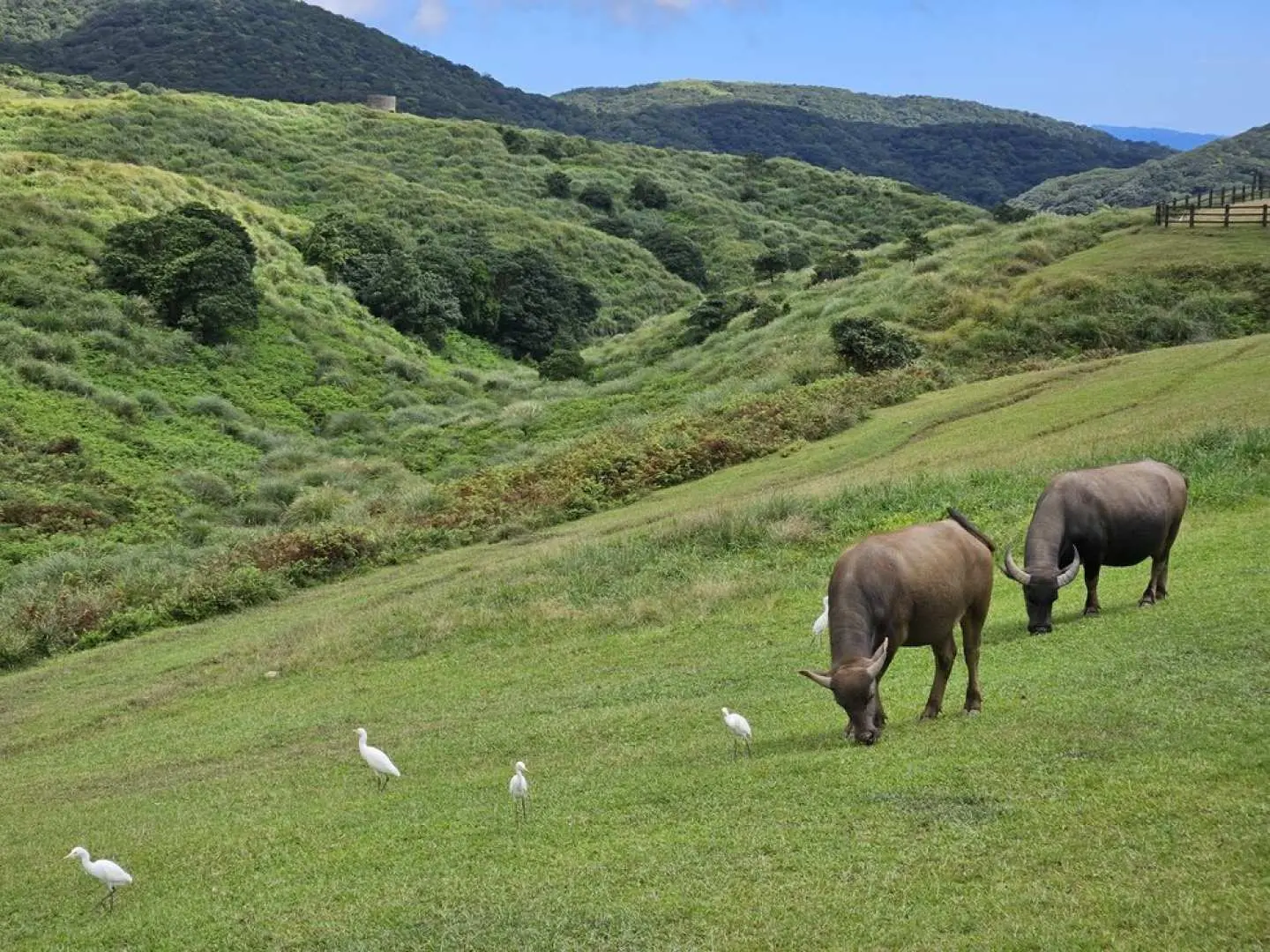 칭티엔강