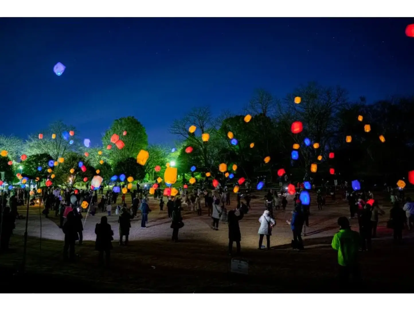 [Lantern release ceremony]