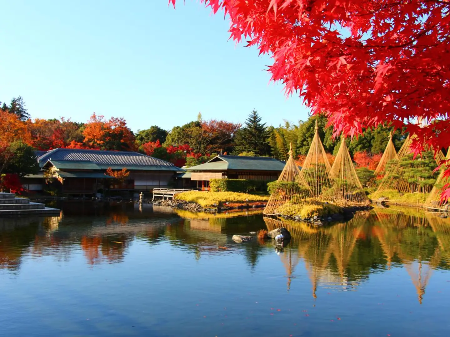 到達白鳥庭園，，白鳥庭園是名古屋市最大的池泉回游式庭園，四季皆有不同風景可看，但最受歡迎的是秋季的楓葉和冬季的雪景。據說，整個花園的設計靈感來自於東海地區的地形，設計成白鳥八景。其中，最令人推崇和喜愛的就是慶餘閣。