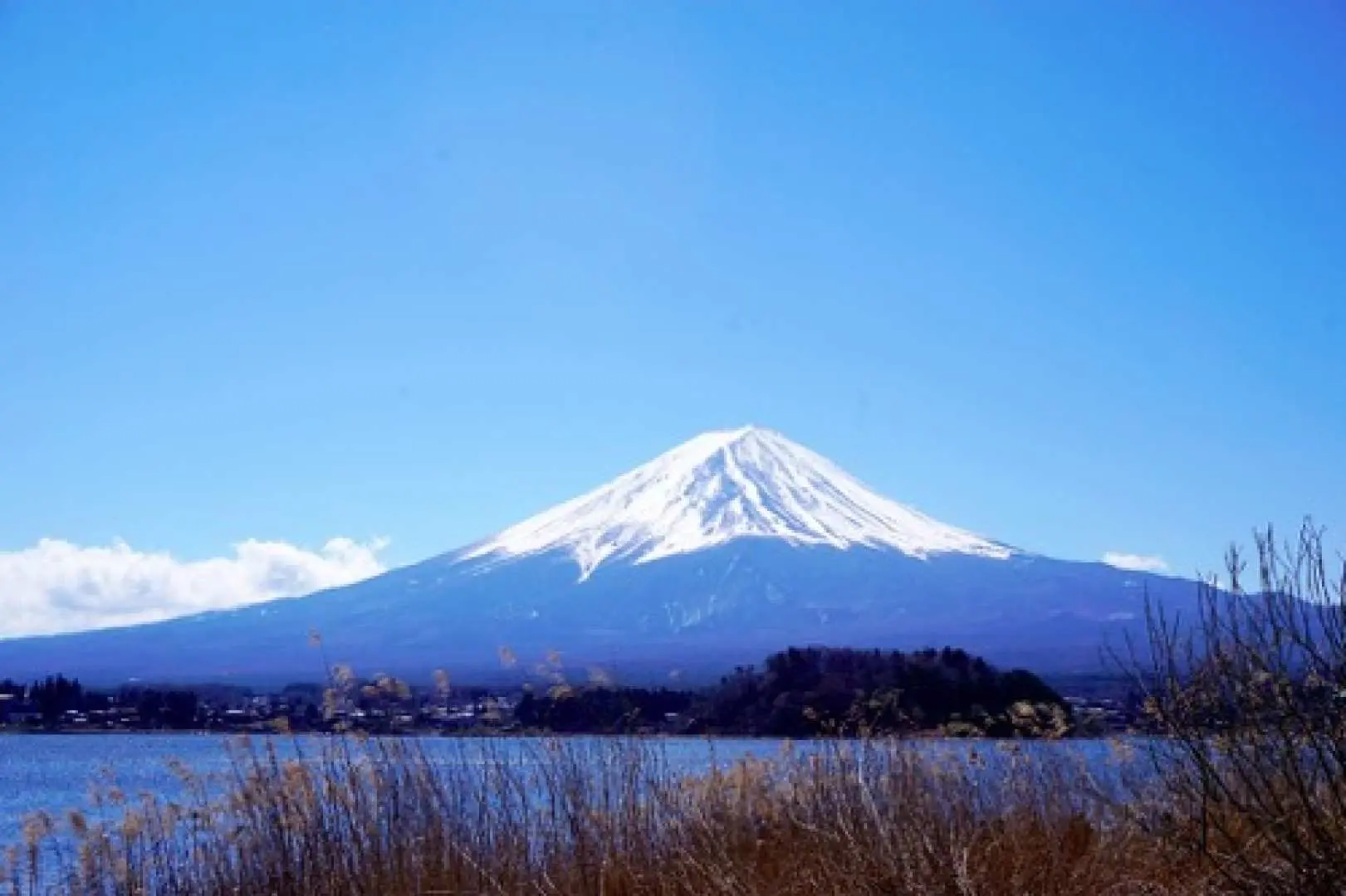 大石公園位於河口湖北岸的大石地區，是一座面向河口湖畔的公園。與南岸的八木崎公園一樣因薰衣草而出名，也是河口湖薰衣草祭的第二會場。 6月下旬薰衣草開始開放，直到7月中旬都可以欣賞一望無際的薰衣草的美景，冬季來時更可以欣賞到白雪覆蓋樹叢。