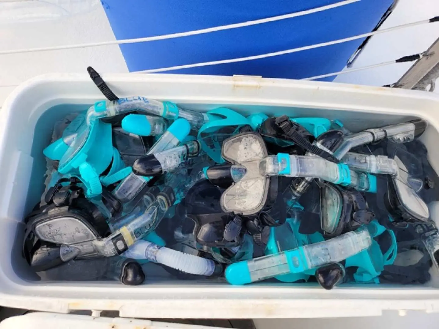 A collection of clean, well-maintained snorkeling masks and snorkels available onboard the Guam Princess Dolphin Cruise for guests to explore the underwater world.