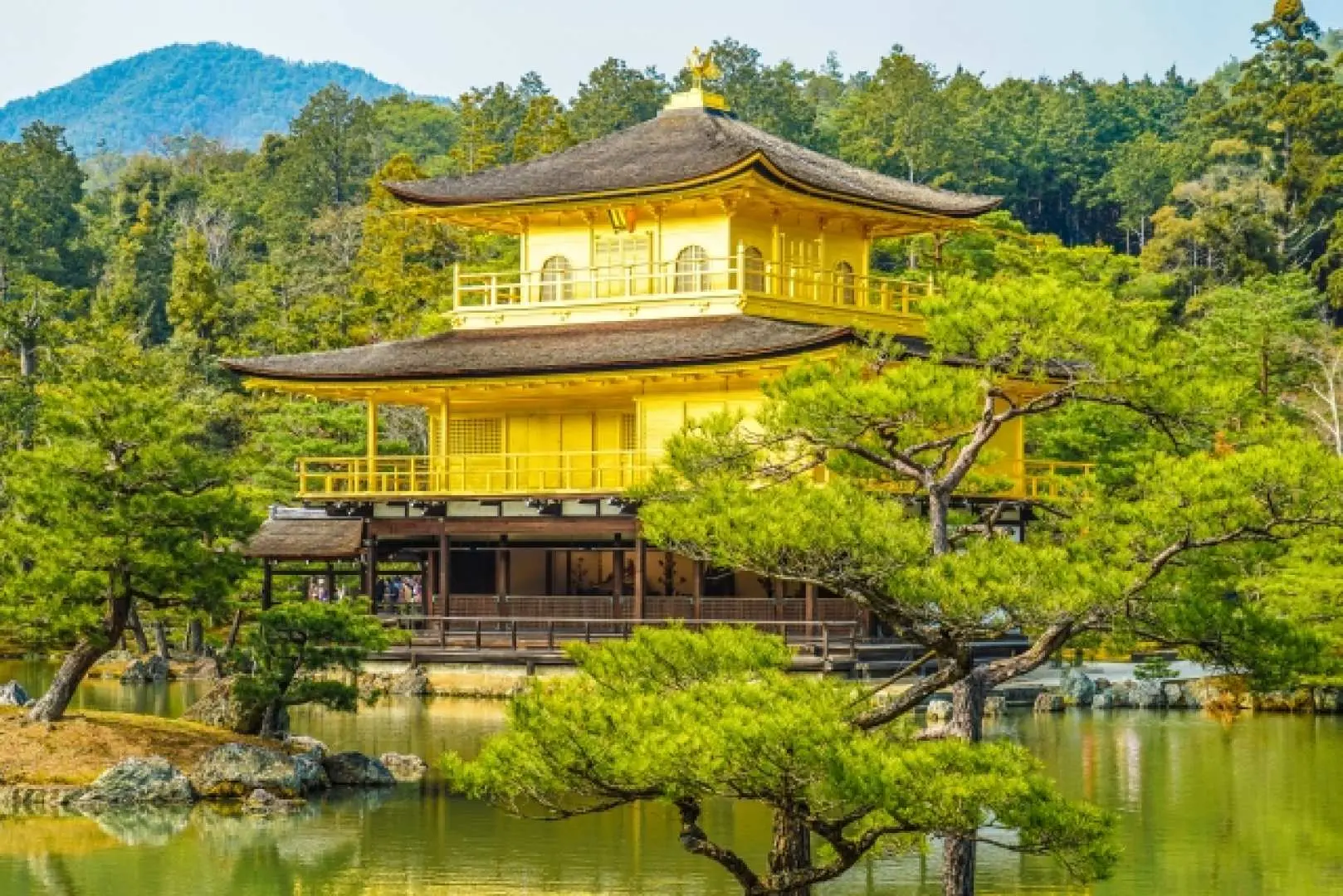 日本京都金閣寺，金碧輝煌的樓閣倒映在平靜的湖面上，周圍松樹與綠樹環繞，展現世界遺產的莊嚴與美麗。