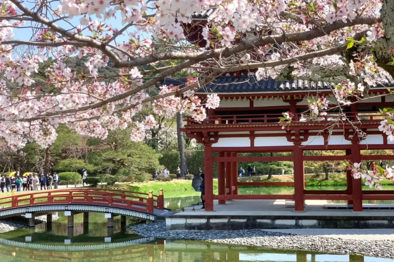 世界文化遺產 平等院，日幣上的建築“鳳凰堂”（平等院和表參道合計停留1小時）