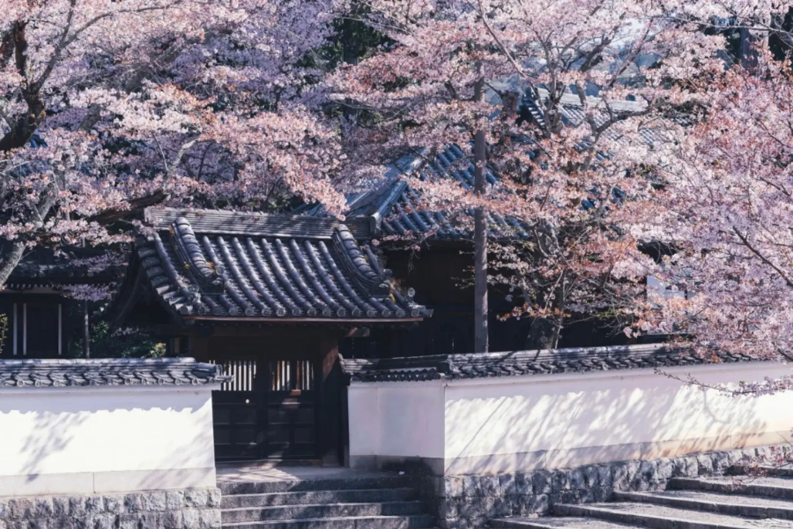 南禅寺：京都著名寺庙之一（停留80分钟）