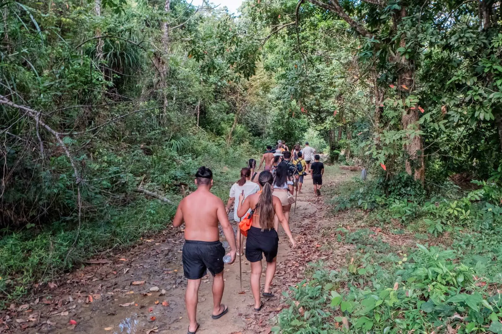 A group on the Haqqy Life social jeepney tour hikes along a dense countryside forest trail in El Nido, exploring the natural beauty of Palawan.