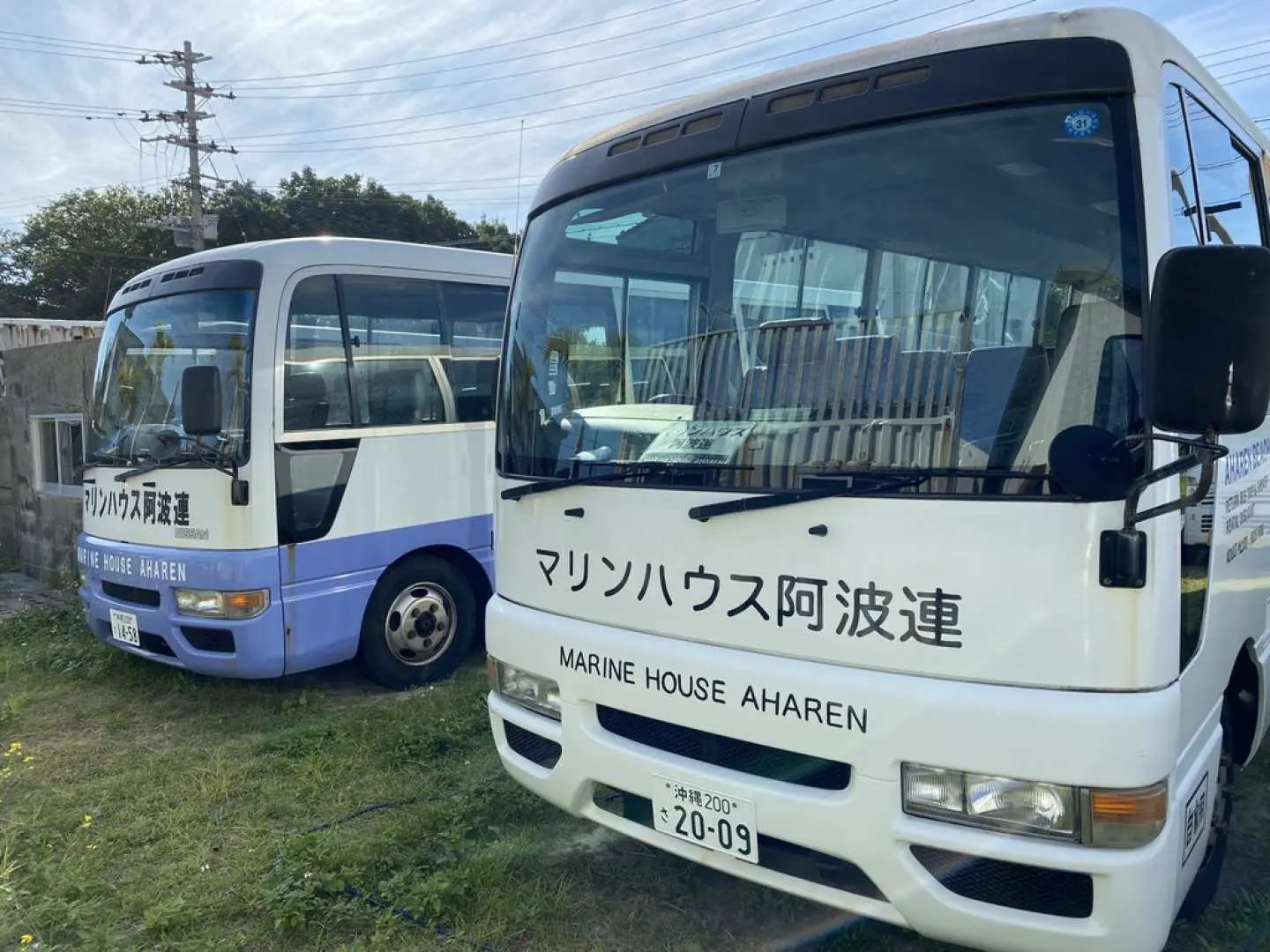 ＜マリンハウス阿波連送迎バス＞
渡嘉敷港駐車場にてお待ちしております