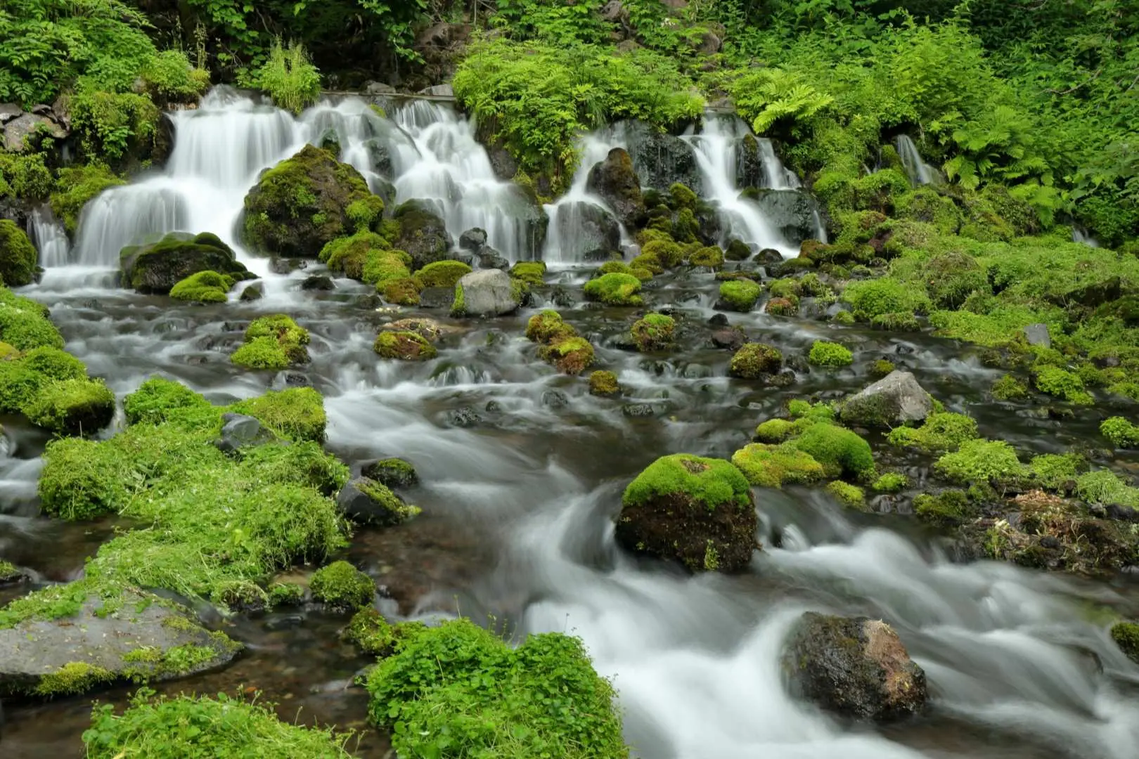 午餐后，请随意探索京极吹出水上乐园。