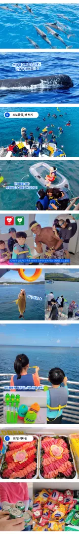 괌 돌고래 드림 크루즈 활동 개요로, 가까이에서 돌고래 관람, 스릴 넘치는 스노클링, 여유로운 낚시, 투명 보트 체험 및 선상 신선한 식사 등 다양한 엔터테인먼트 경험을 포함합니다.