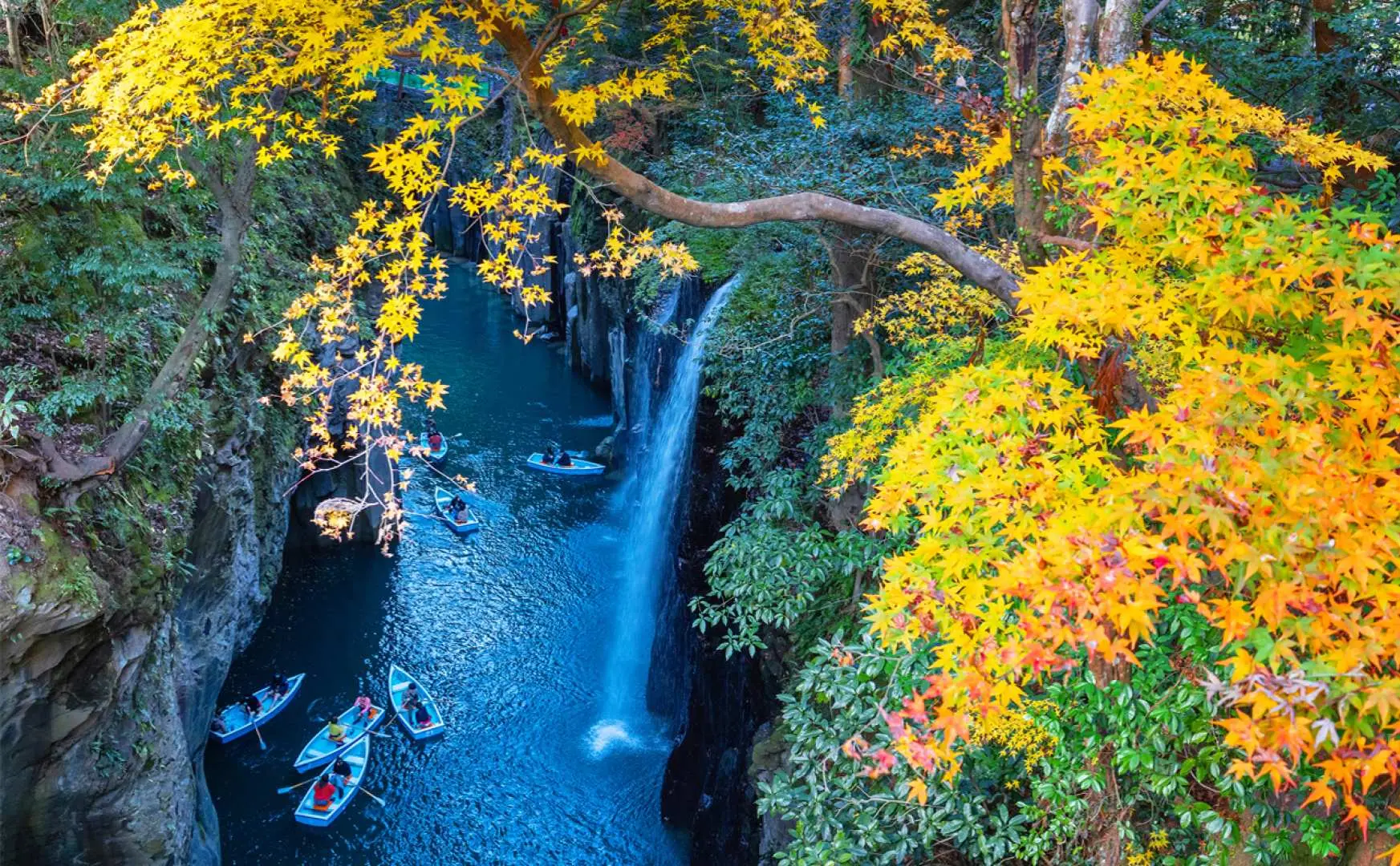 Toàn cảnh từ trên cao của Thung lũng Takachiho, với thác nước đổ xuống sông, hai bên vách núi được bao phủ bởi những tán lá mùa thu rực rỡ sắc vàng đỏ, tạo nên khung cảnh tráng lệ.