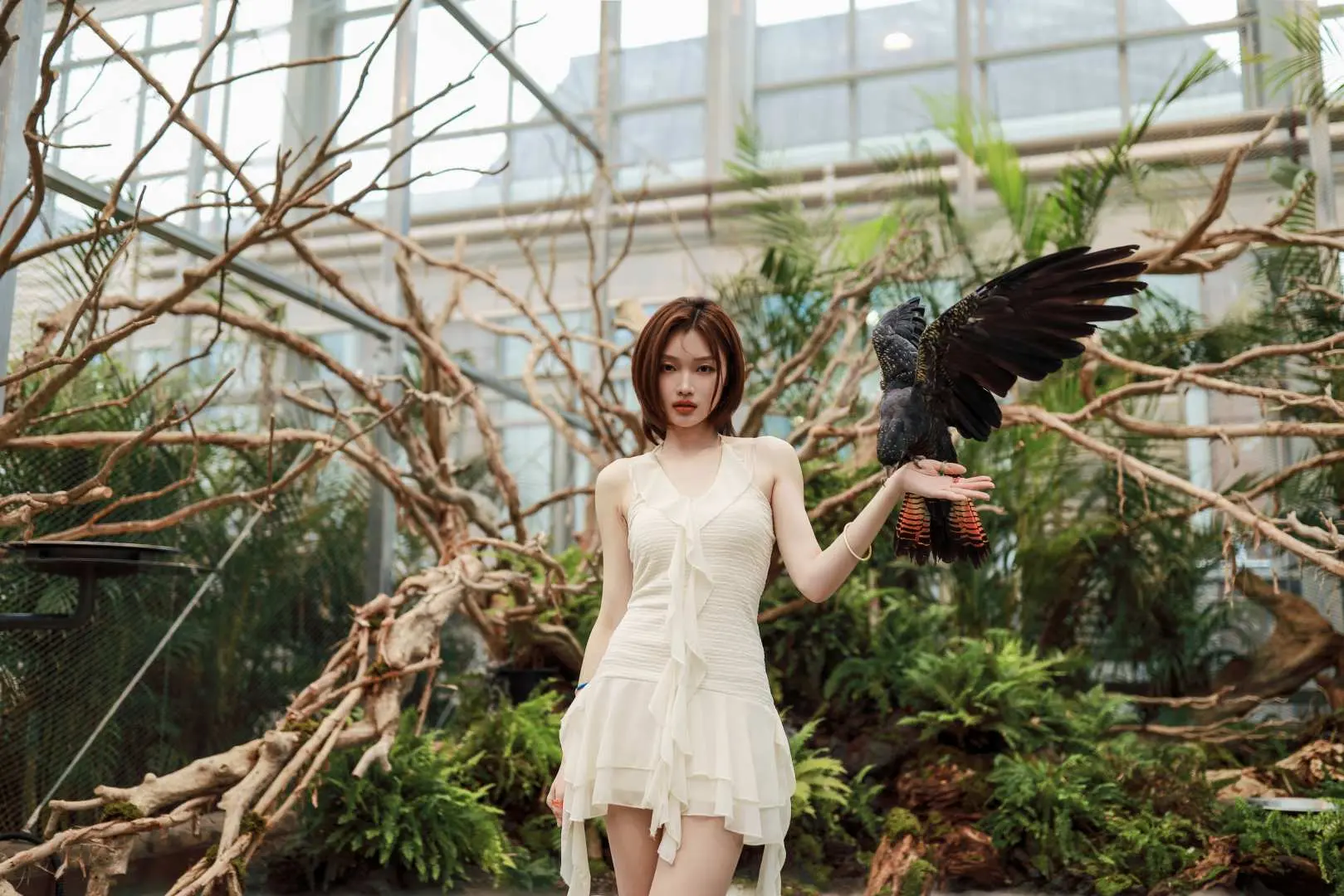 A visitor at Gapyeong Begonia Bird Garden intimately interacts with a black cockatoo, feeling the charm of nature in the lush bird zone surrounded by tropical plants.