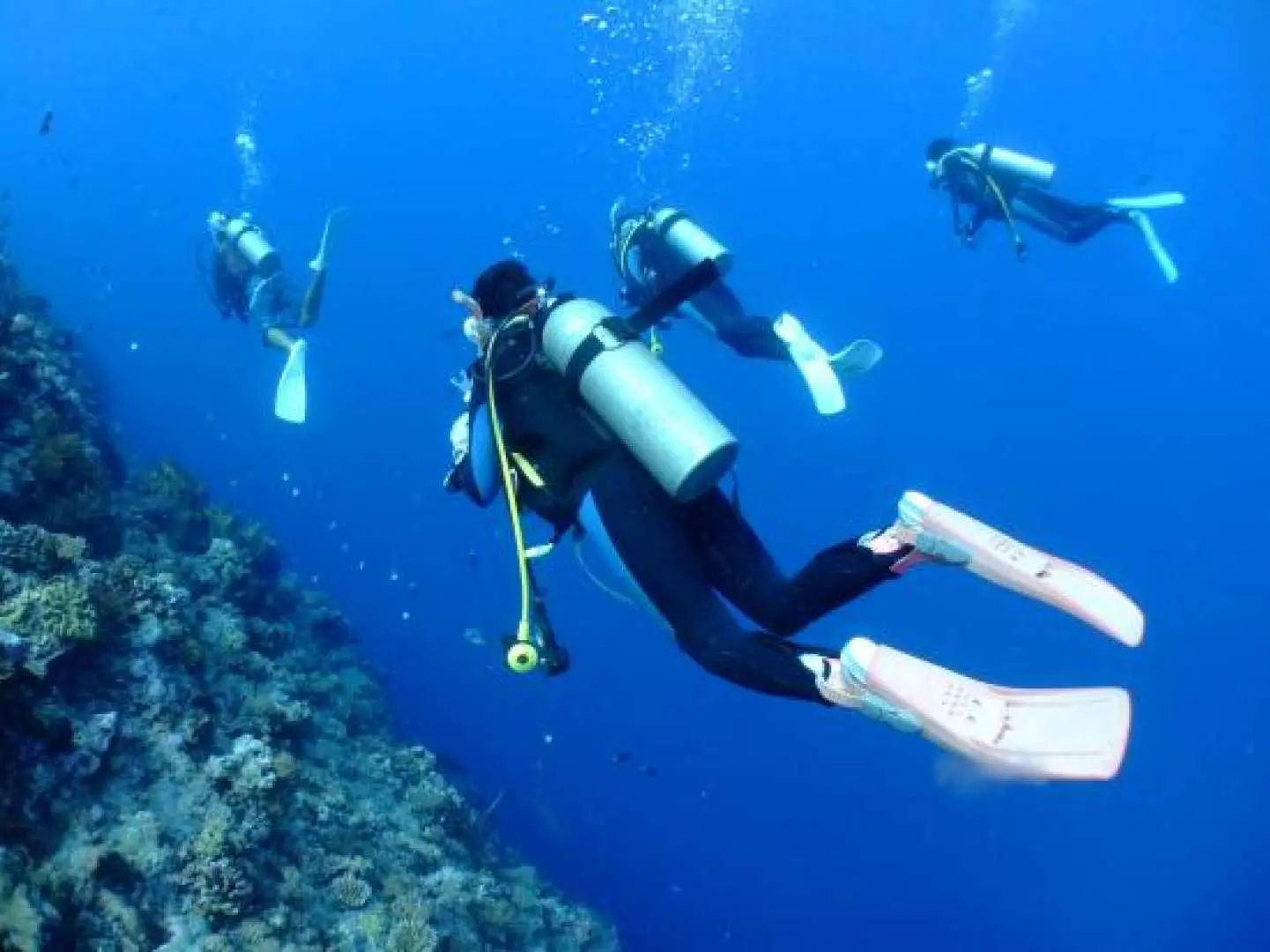 Chiêm ngưỡng vẻ đẹp huyền bí dưới mặt nước biển