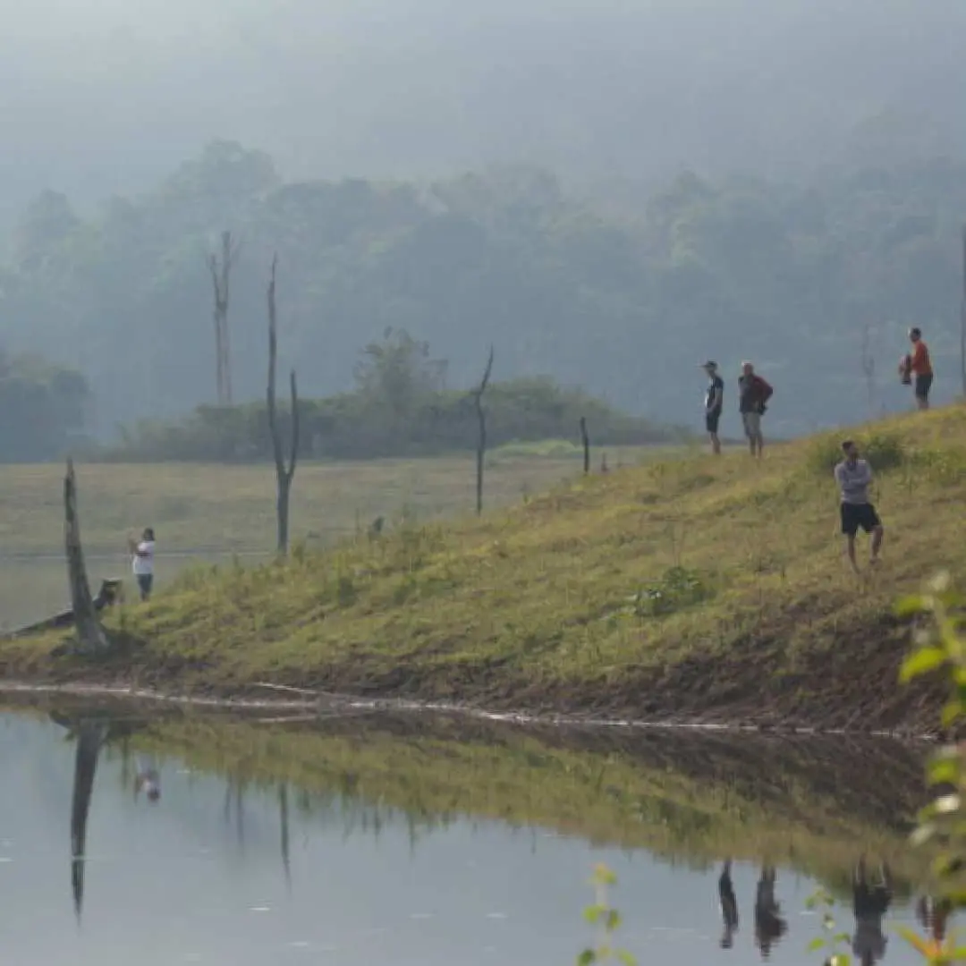 Travelers enjoying a jungle trek on the grassy banks of Khao Sok National Park's lake, with distant mountains appearing faintly in the mist, an ideal time for early morning wildlife viewing.