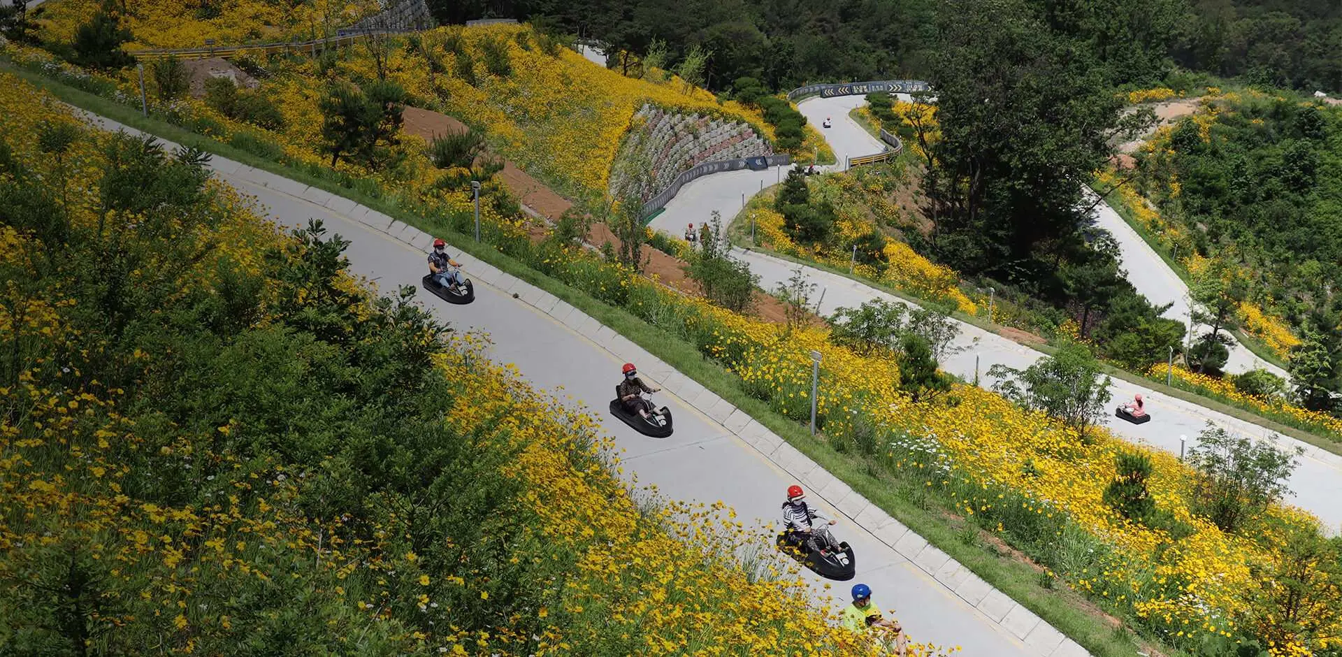 從高處俯瞰江華島斜坡滑車Luge，多名遊客駕駛滑車沿著翠綠山坡上蜿蜒的賽道滑行，周圍開滿黃色花朵，景色壯觀。
