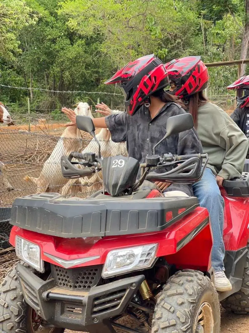 Two adventurers on an ATV enjoy a fun moment, interacting with friendly goats during their thrilling jungle exploration and off-road ride in Phuket.