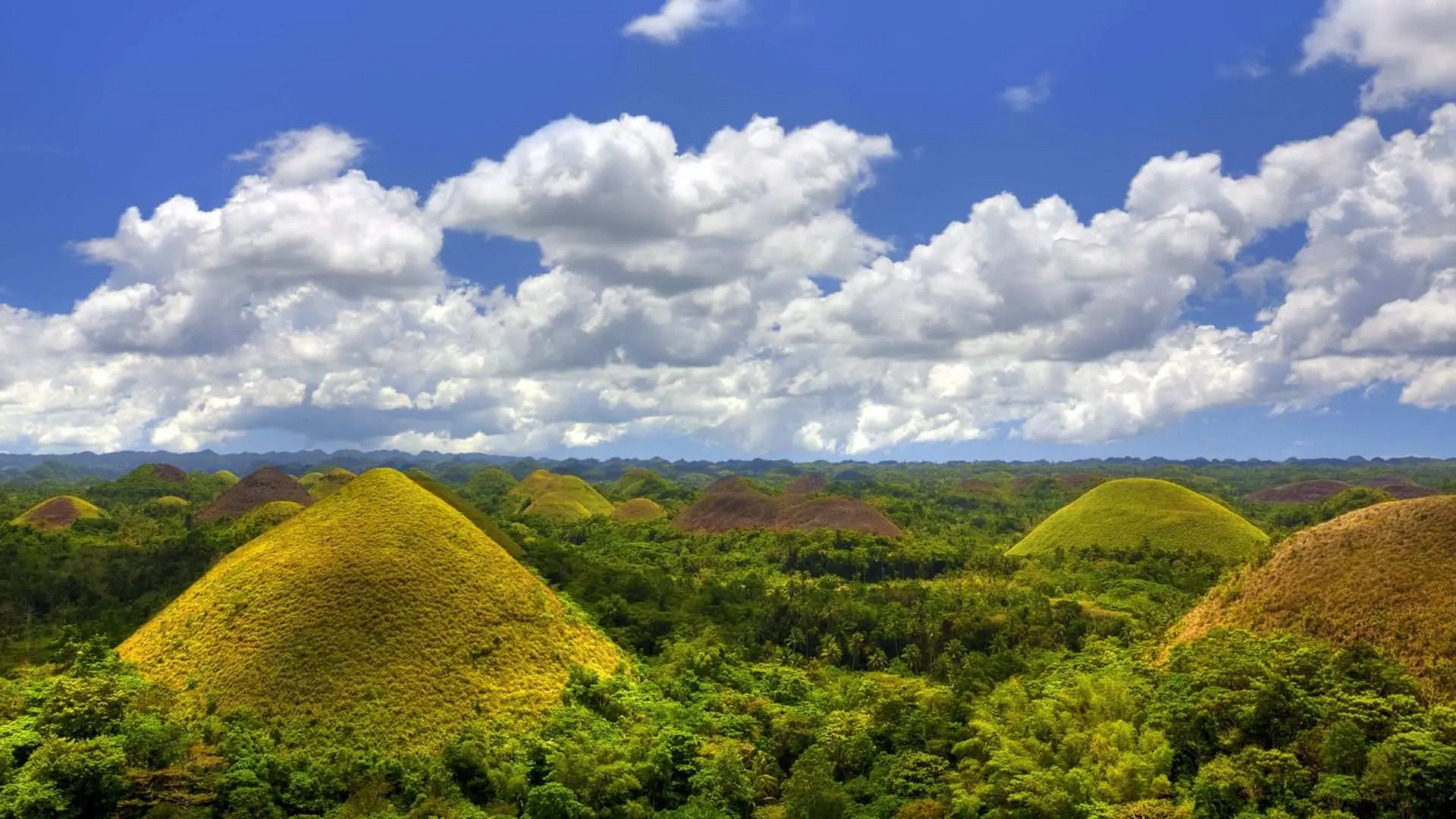 Chocolate Hills