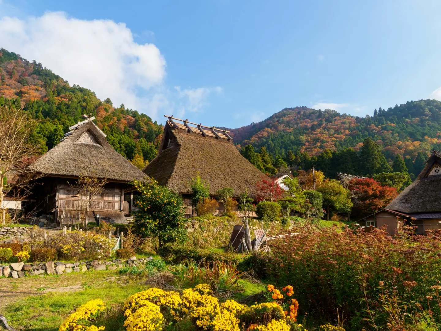 Traditional thatched-roof houses in Miyama Kayabuki no Sato, Kyoto's healing village, surrounded by golden and lush green autumn scenery, evoking a nostalgic Japanese countryside feel.