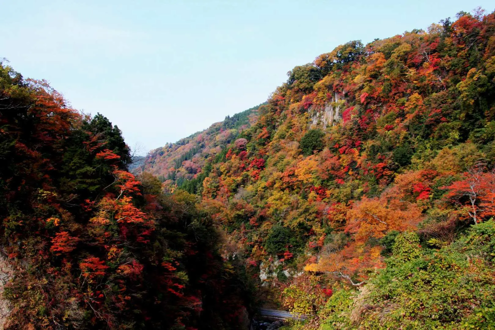 九州九醉溪深邃溪谷，两旁山坡被红、橙、黄、绿的缤纷秋叶覆盖，展现丰富的红叶层次美。