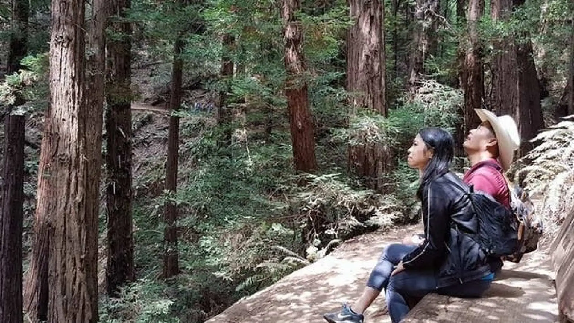 Two visitors relaxing on a bench in Muir Woods National Monument, looking up at the majestic towering redwood trees, enjoying the forest's grandeur and peace.