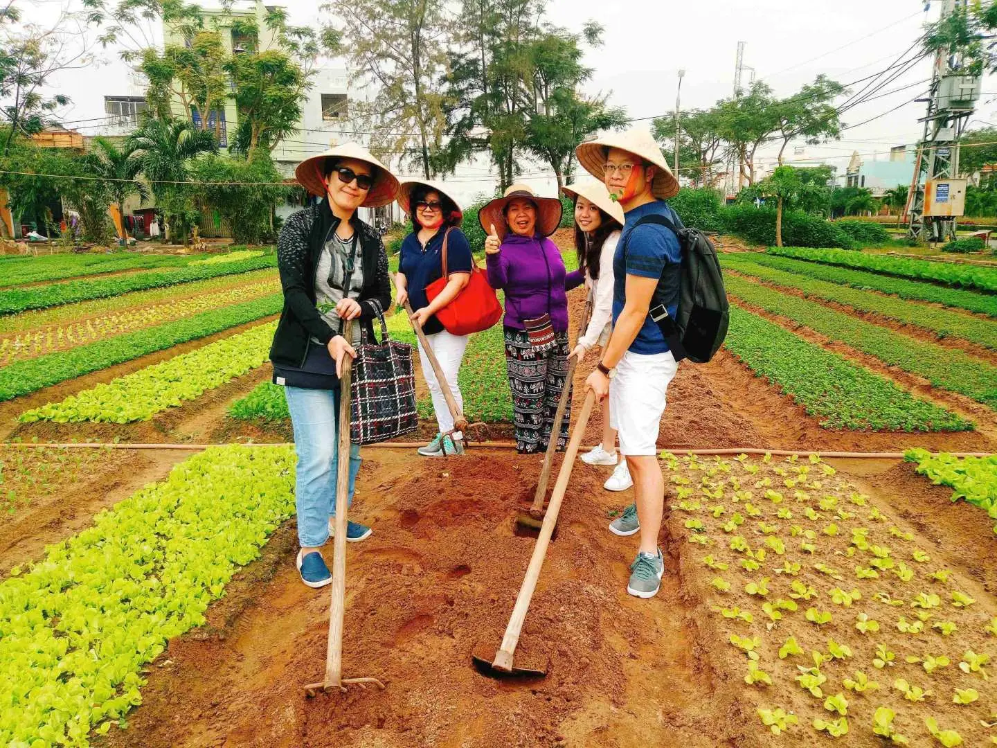 Join the farmers in preparing the land and growing vegetables