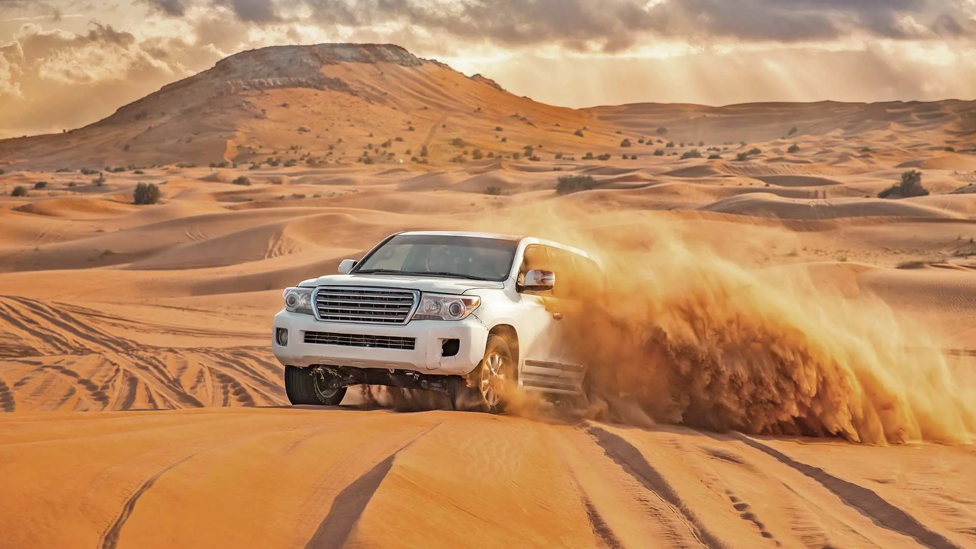 Experience the thrill of dune bashing