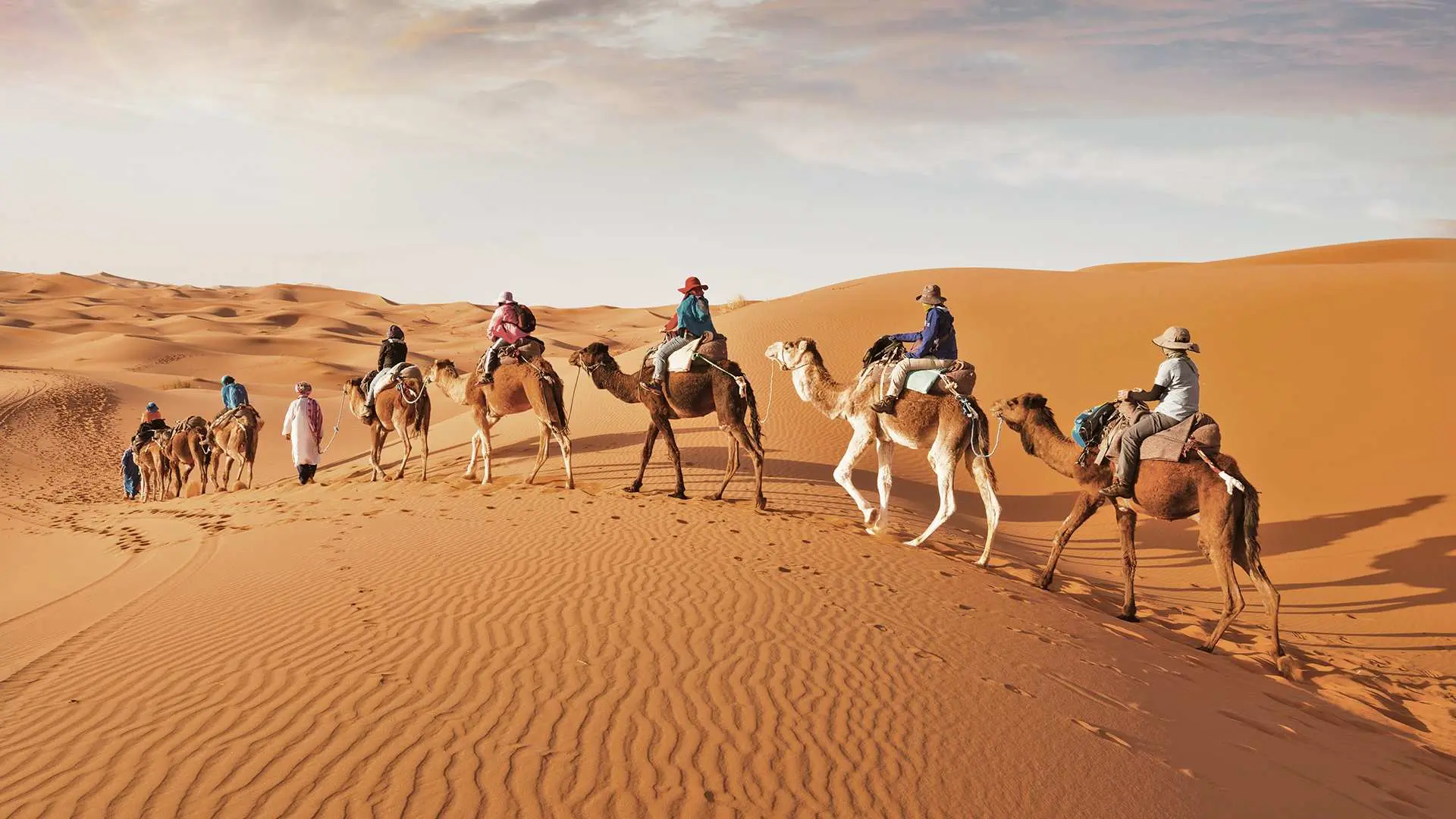 Ride a camel through the desert