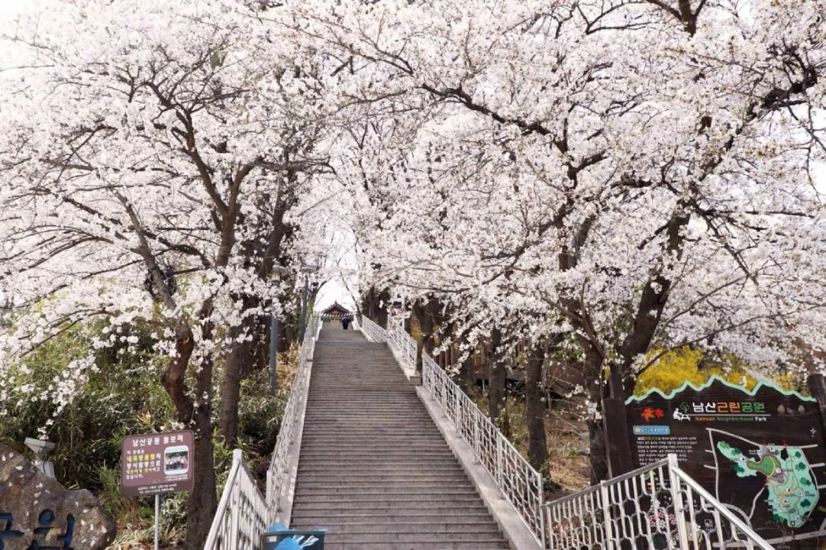 江陵南山公園