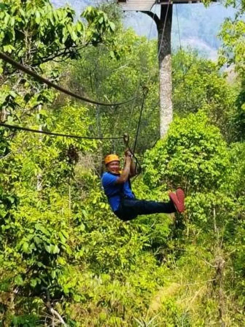 A visitor on the Chiang Mai Pong Yang jungle zipline, secured by a harness, rapidly glides through the dense jungle, enjoying the exhilarating experience of soaring between trees.