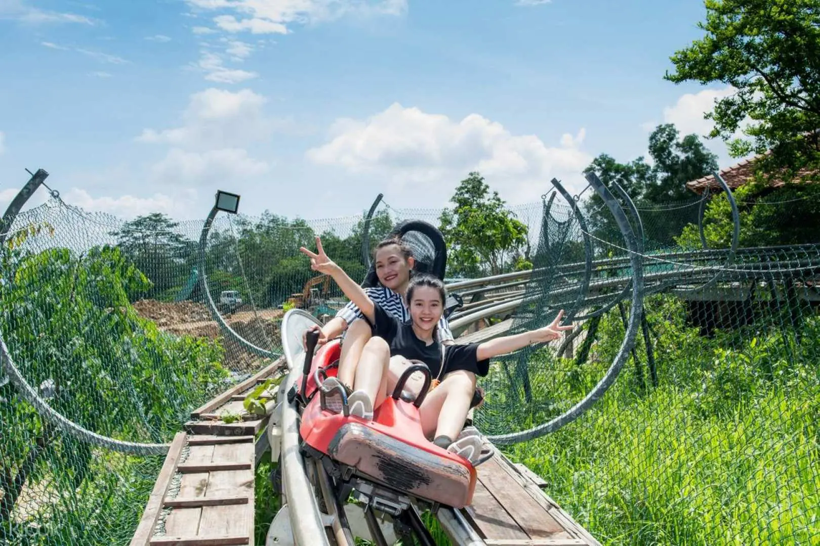 Alpine coaster