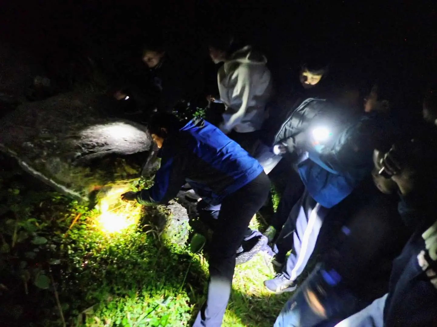 More fun to observe at night
