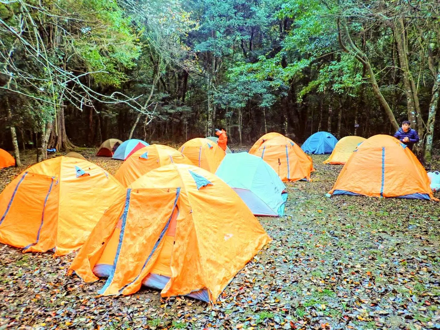 Unique camping experience in the mountains and forests