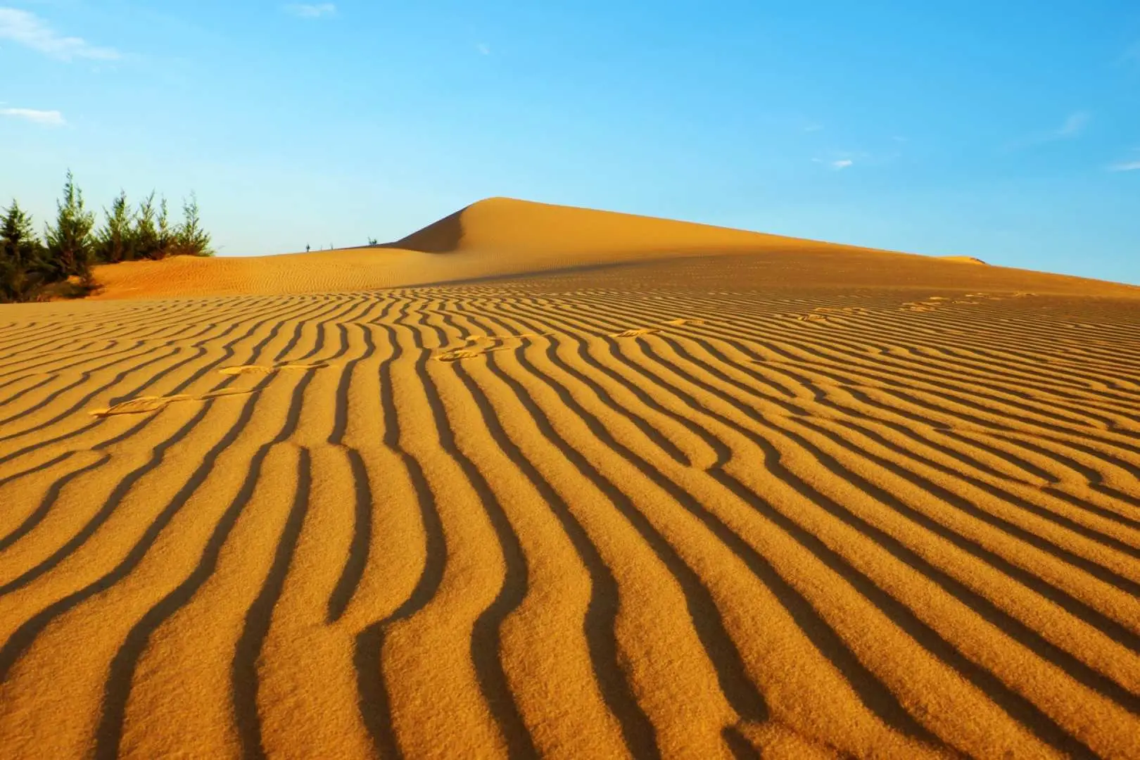 Hike to the top of the Yellow Sand Dune for a view of Mui Ne from above. From this position, you can witness all the iconic sites of Mui Ne, as well as the daily activities of locals at the fishing village.