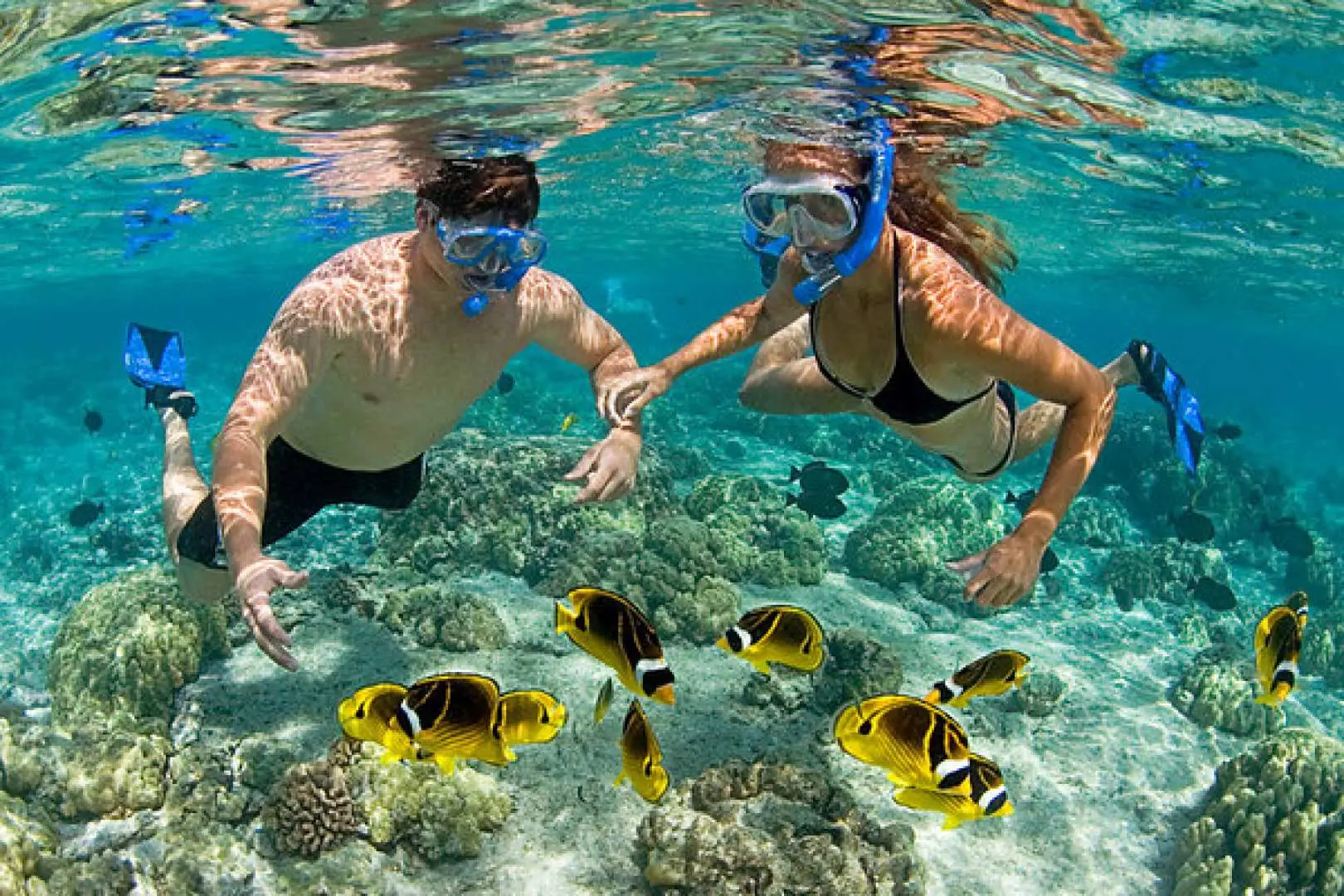 Snorkel under the sparkling sea and swim with tropical fish