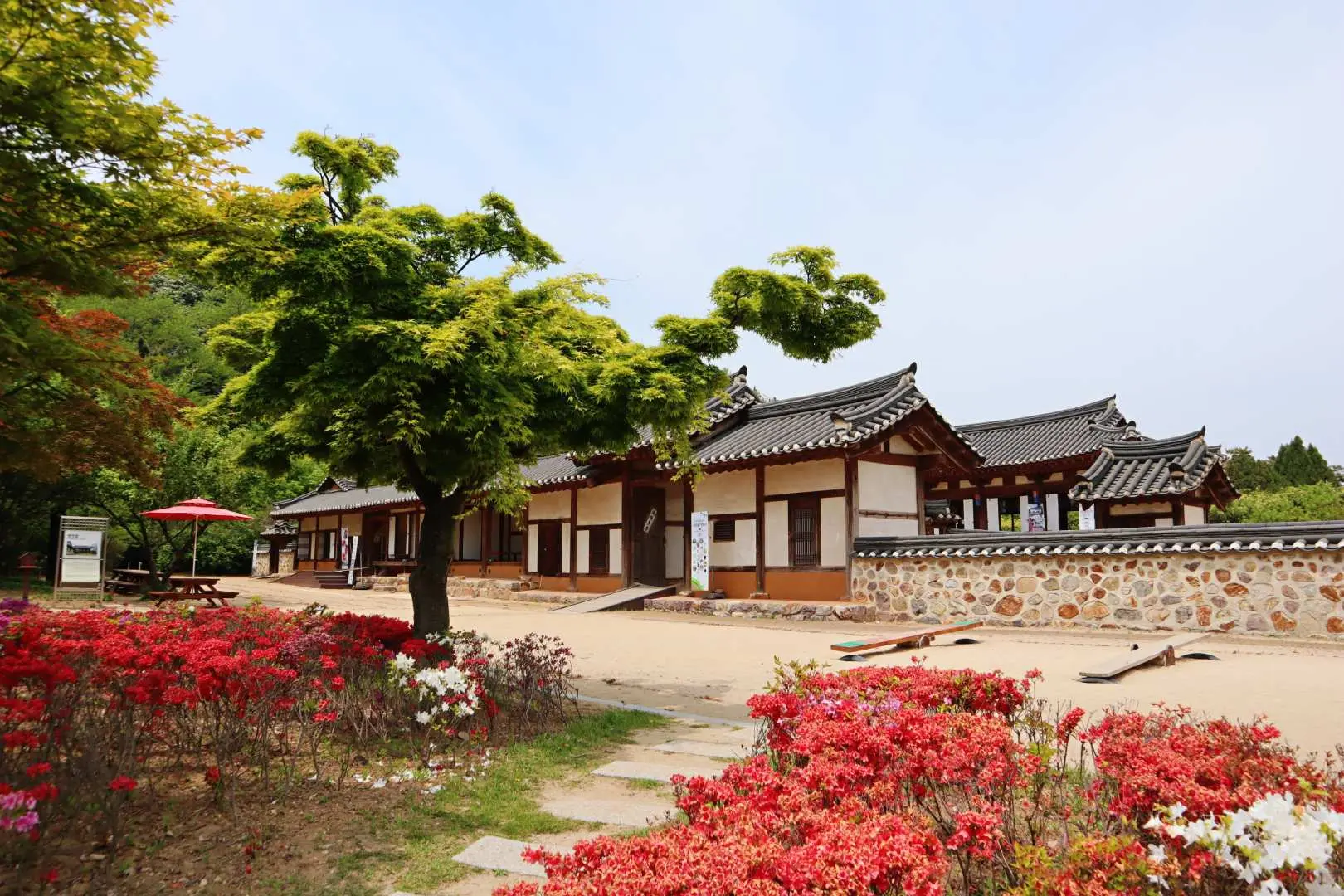 月尾傳統公園的優美景致，傳統韓式建築坐落在繁花盛開的繡球花叢中，展現自然與庭園的完美結合，適合悠閒散步。