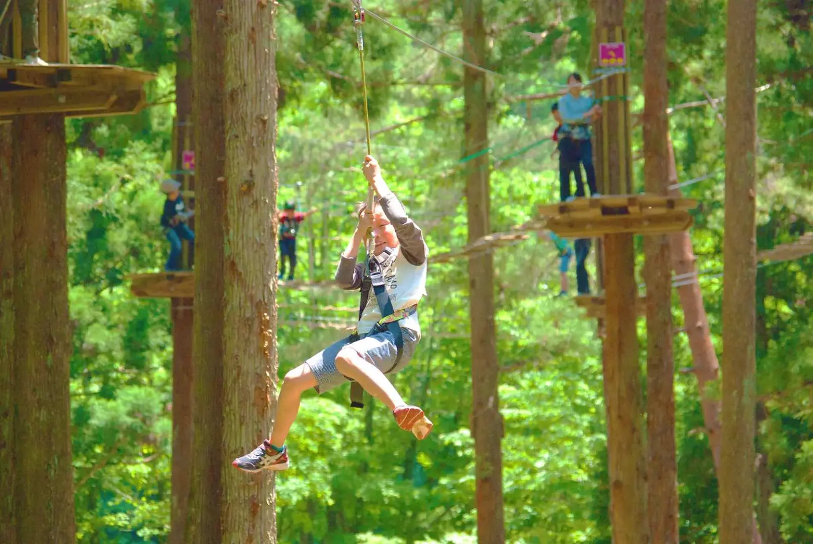 Du khách với dây an toàn lướt qua những tán cây xanh tươi tại Forest Adventure Eniwa ở Hokkaido, tận hưởng các trò chơi mạo hiểm trên cây đầy kịch tính và an toàn.