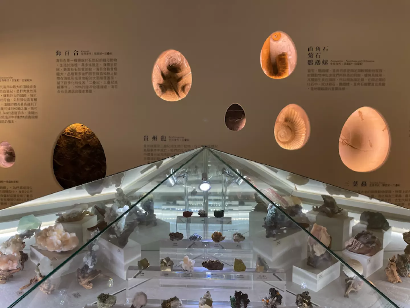 Taoyuan Jurassic Museum's main exhibition hall, showcasing a rich collection of precious gems, fossils, and minerals from around the globe, offering an enlightening visit.